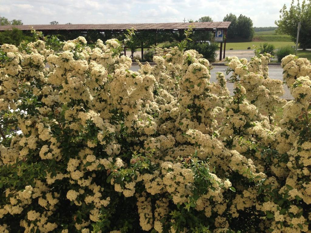 Patyi Etterem Es Hotel Bogote Bagian luar foto